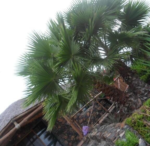 هاستل Casa De France