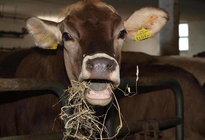 Отель Hochfelner Prutti Stockerhof