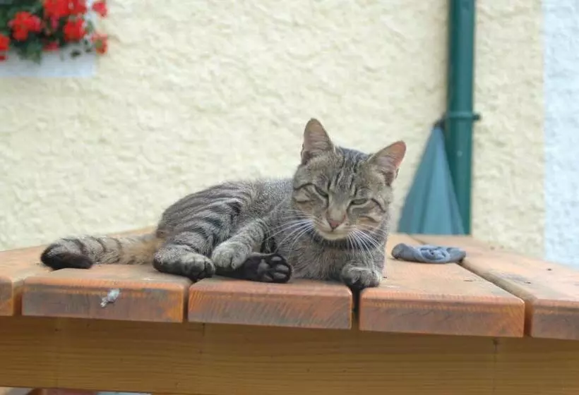 ホテル Hochfelner Prutti   Stockerhof