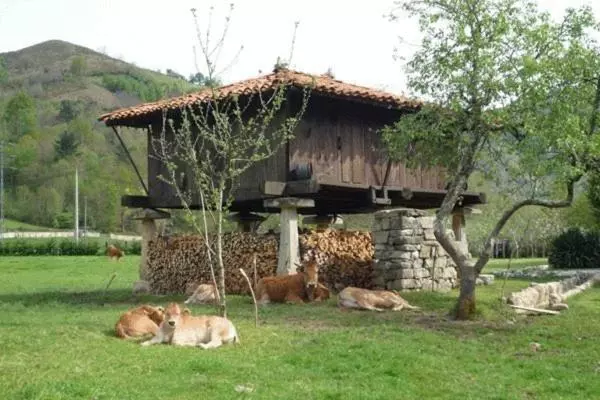 ホテル Rural Sucuevas