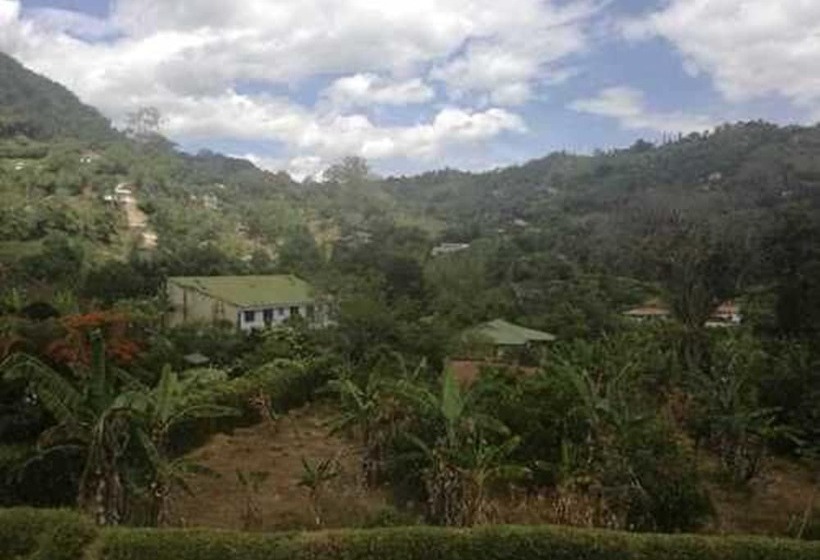 هاستل Hostal La Vega