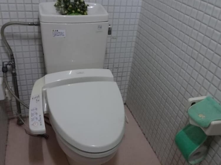 בית מלון כפרי Asumi Onsen