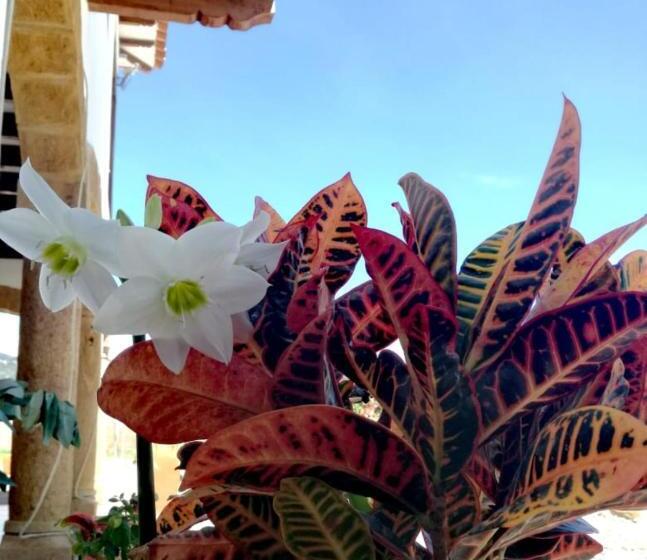 فندق Gran Sirius