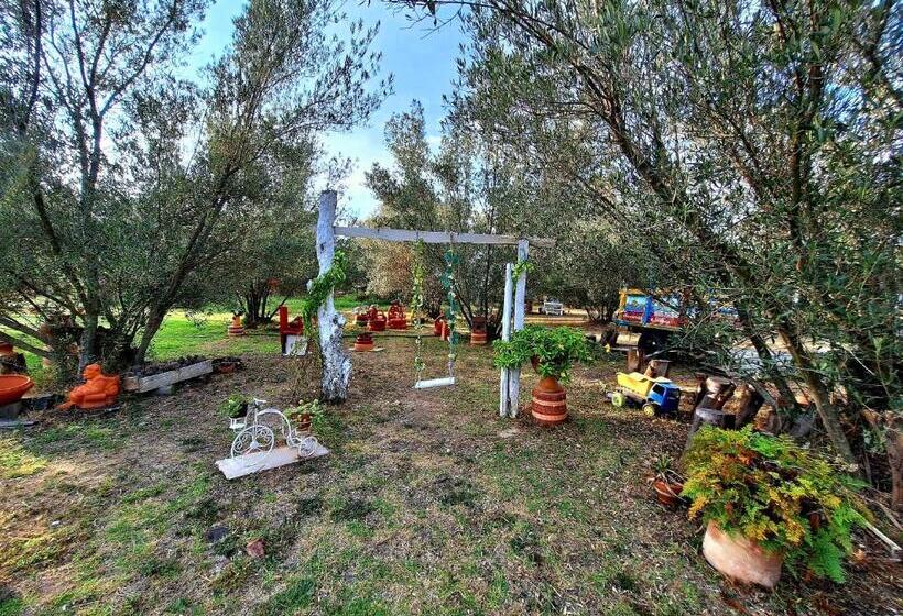 فندق Gran Sirius