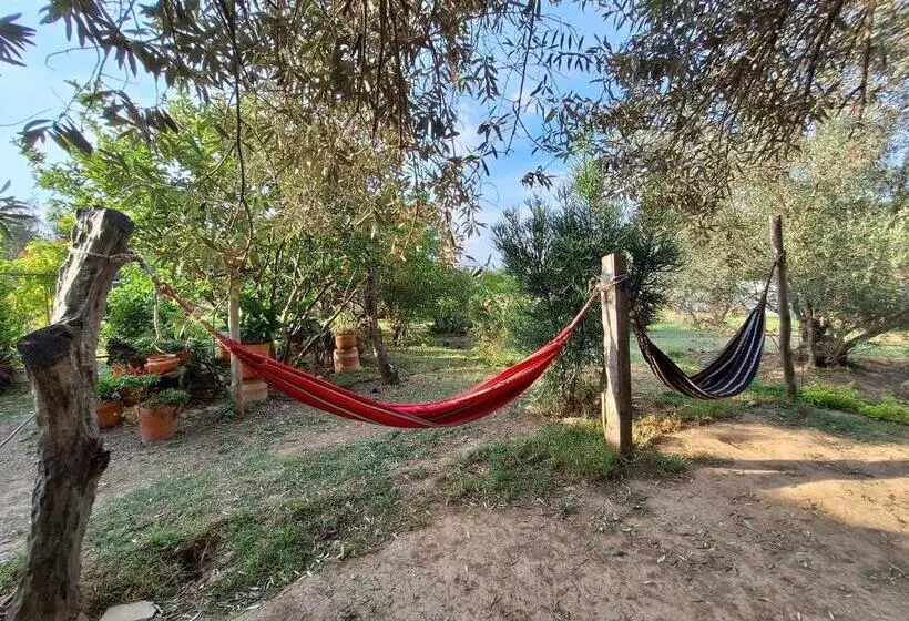 ホテル Gran Sirius