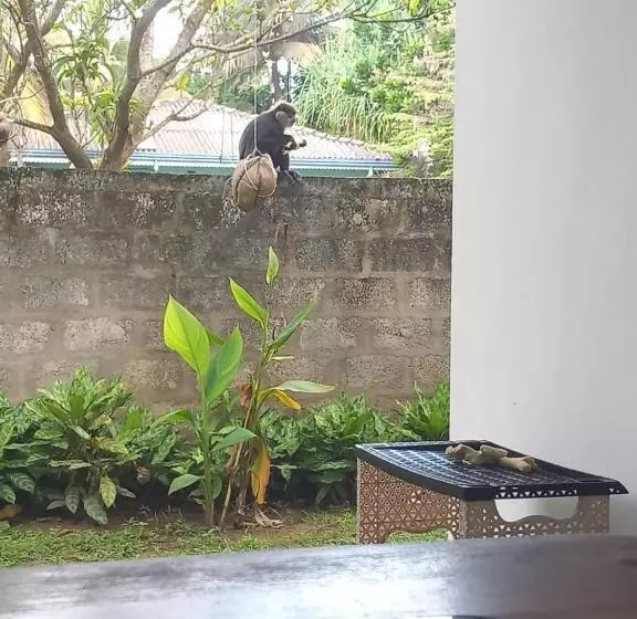 پانسیون Senu Beach Villa