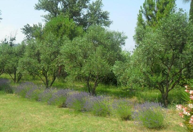 Bed and Breakfast L'oulibo