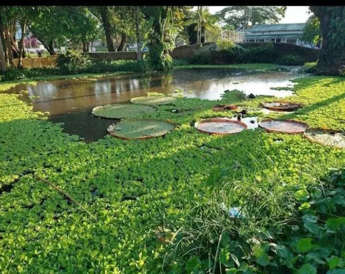 Hotelli Alto Amazonas