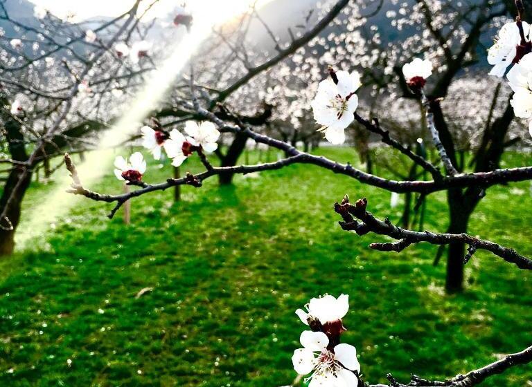 Pansiyon Landhaus Weinblick