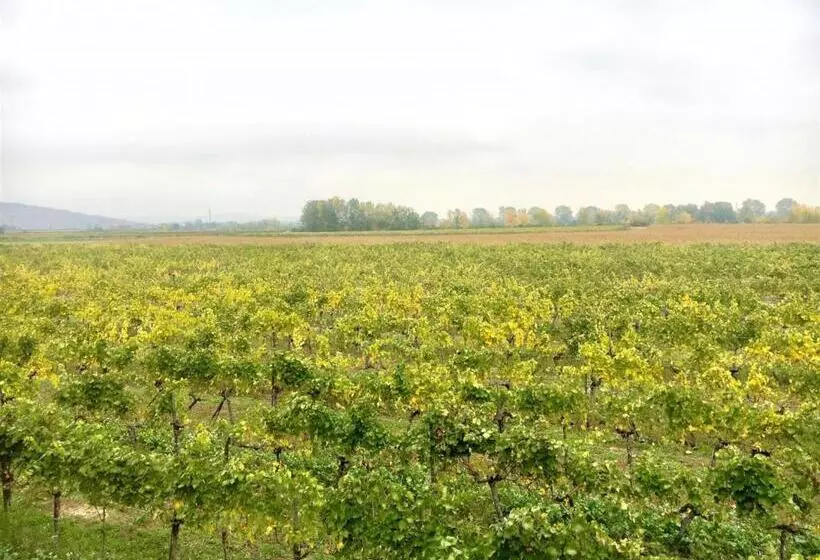 Majatalo Landhaus Weinblick