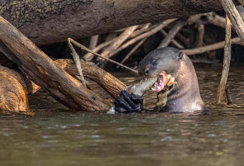هتل Lontra Pantanal