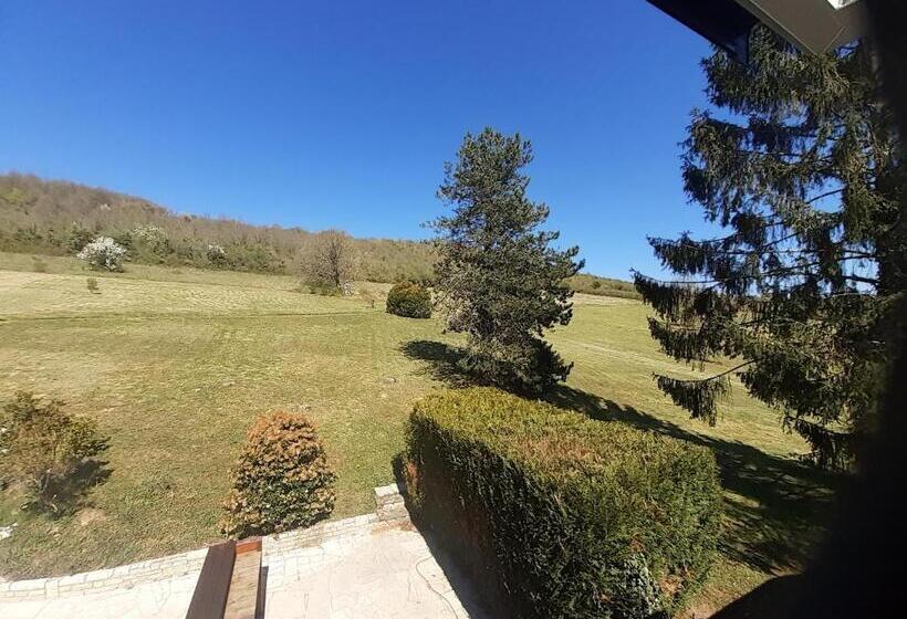 Bed and Breakfast Domaine Foray