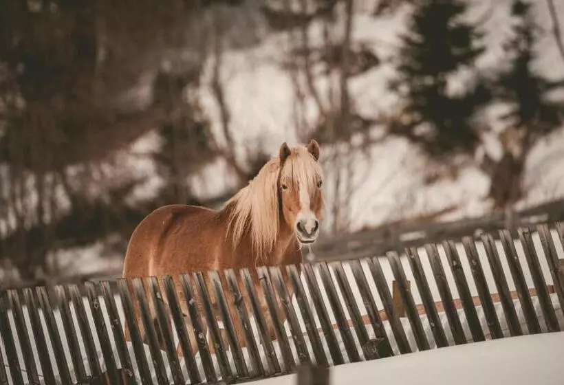 Familienhotel Replerhof