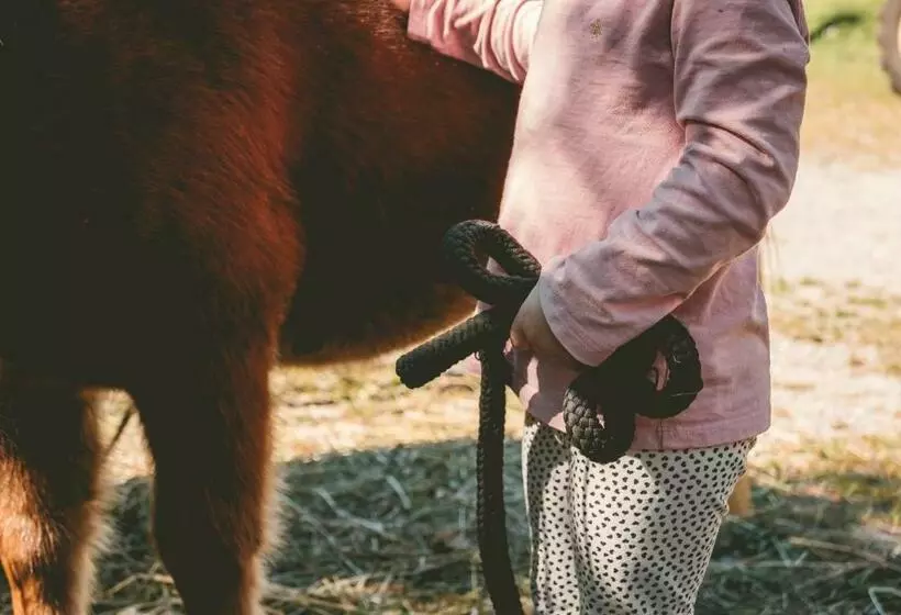 Familienhotel Replerhof