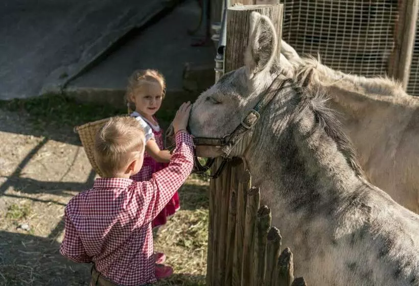 Familienhotel Replerhof