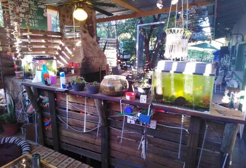 Xenia Bed & Breakfast