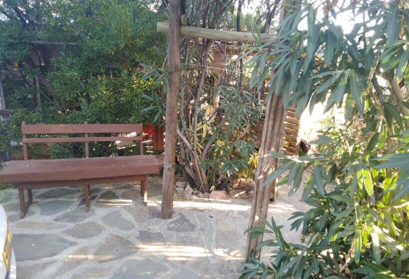 Xenia Bed & Breakfast