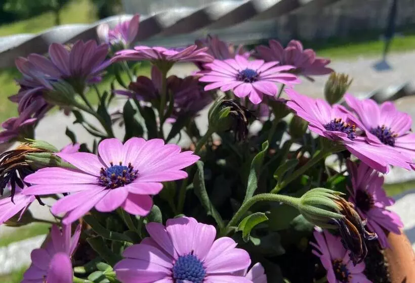 هاستل Gran Osteria Tre Noci