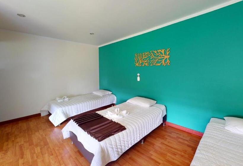 בית מלון כפרי Villa Colonia