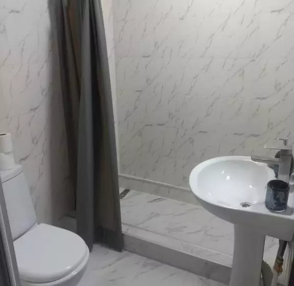 پانسیون Ira & Vaso S Guest House Borjomipark