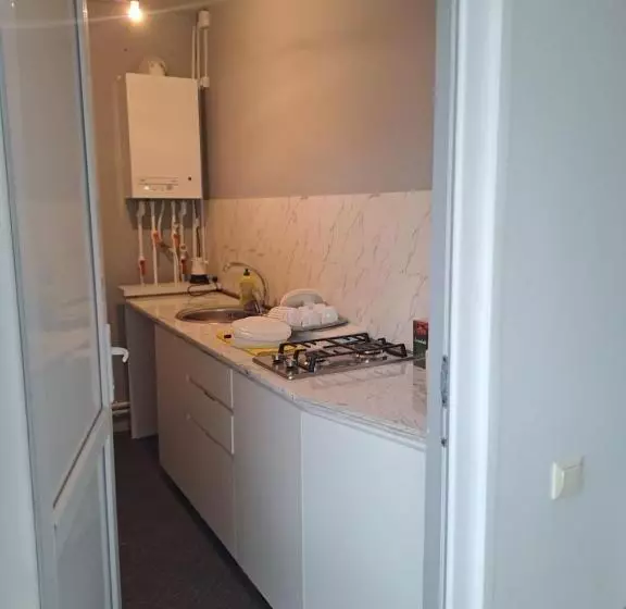 پانسیون Ira & Vaso S Guest House Borjomipark