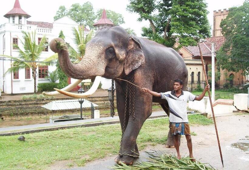 Пансион Strathisla Tea Estate Bungalow