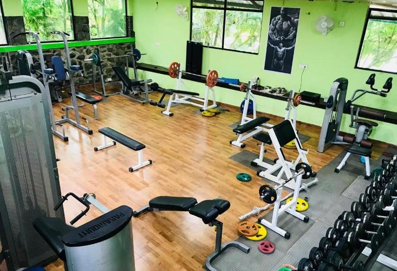 אתר נופש Wyte Mist Mountain Club