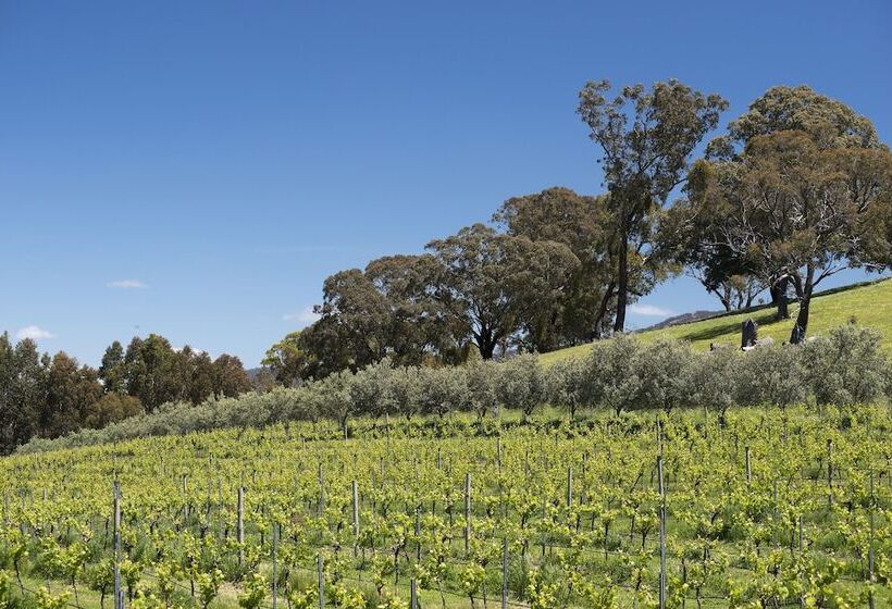 Blue House At Mountainside Wines