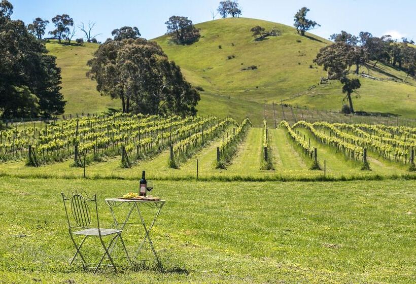 Blue House At Mountainside Wines