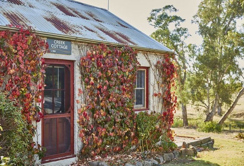 Lochinver Farm Homestead & Cottages