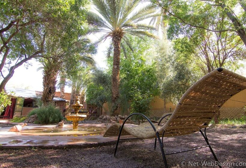 膳宿费 Ecolodge La Palmeraie