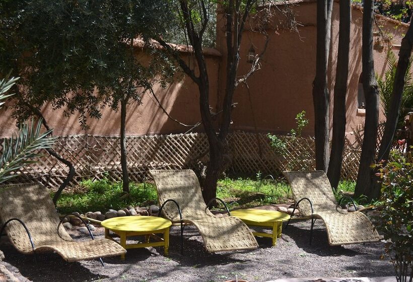 膳宿费 Ecolodge La Palmeraie