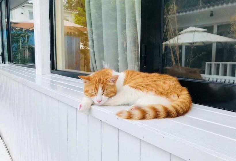 Pensjonat The Great Wall Box House Beijing