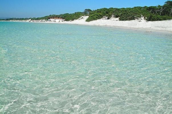 Bed and Breakfast Istentales Alghero