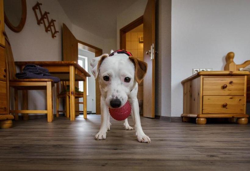 Pension Und Tagungsstätte Bb