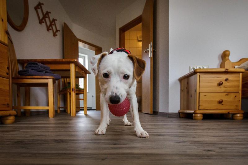 Pension Und Tagungsstätte Bb