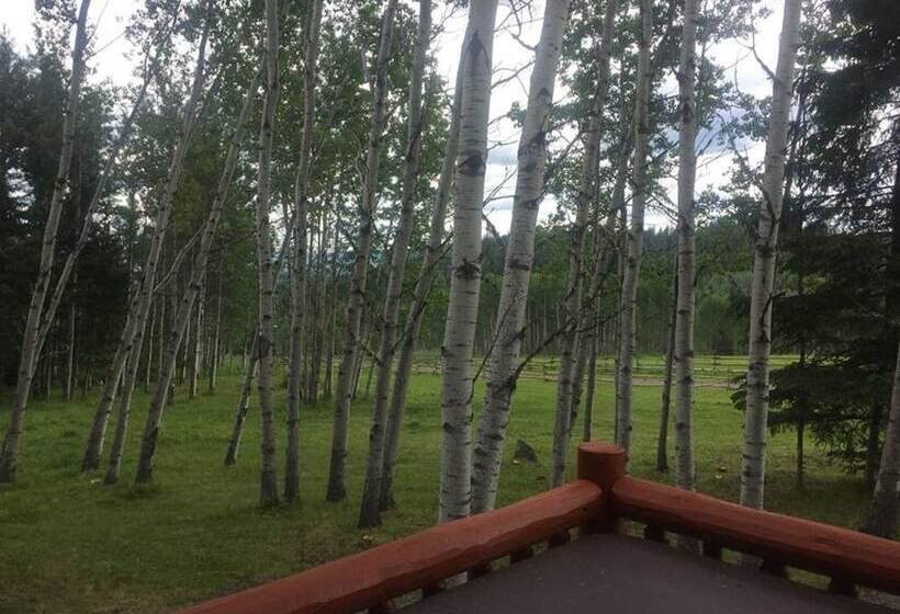 Bed and Breakfast Montana Hill Guest Ranch