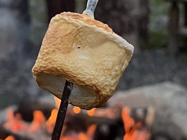 Bed and Breakfast Montana Hill Guest Ranch