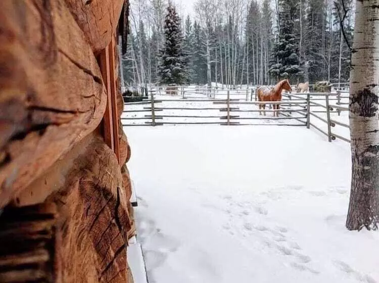 Aamiaismajoitus (B&B) Montana Hill Guest Ranch