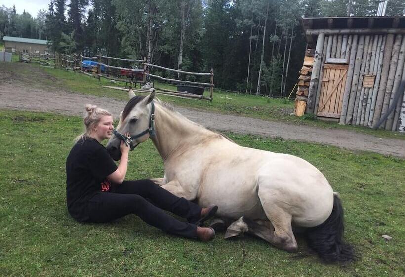 Bed and Breakfast Montana Hill Guest Ranch