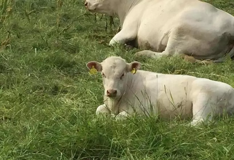 Enångers Bed And Breakfast