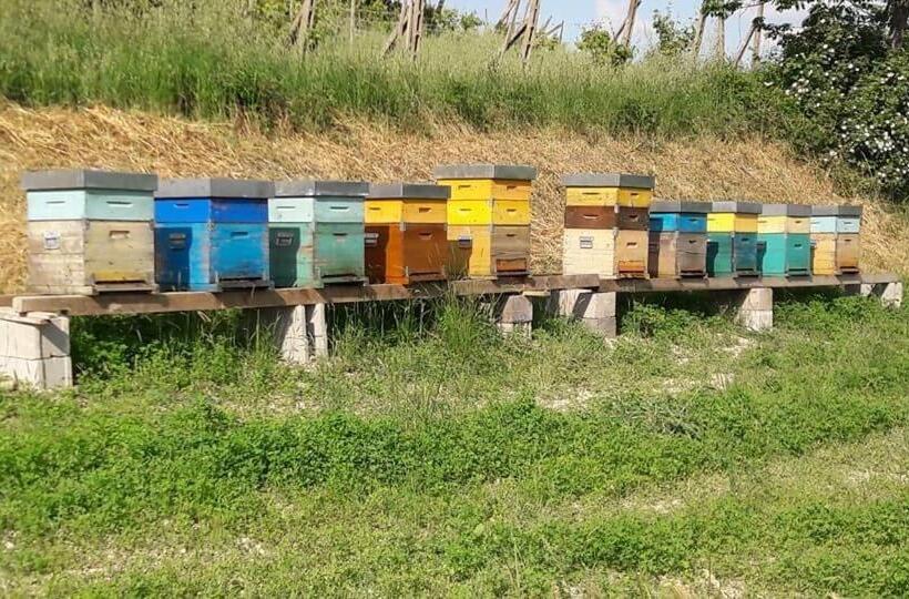 Отель Agriturismo Il Colore Del Grano