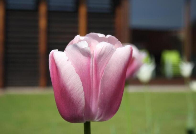 Отель Løgumkloster Refugium