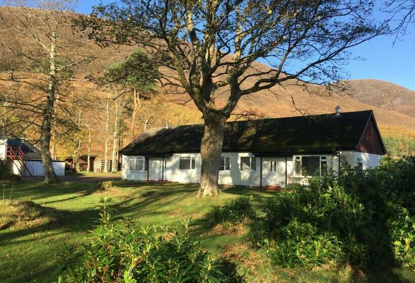 ユースホステル The Bunkhouse