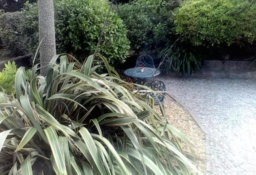 Baytree B&b
