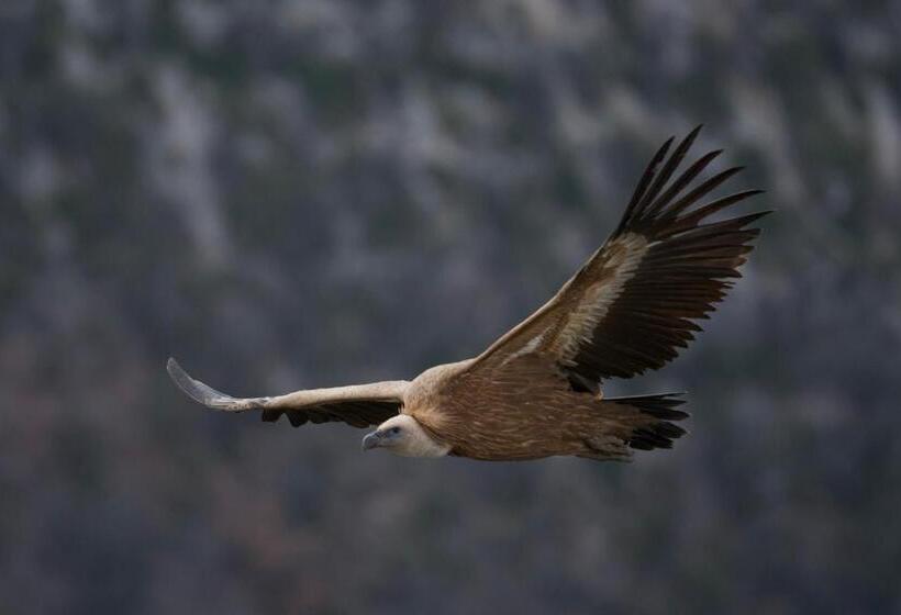 مبيت وإفطار Le Sareymond