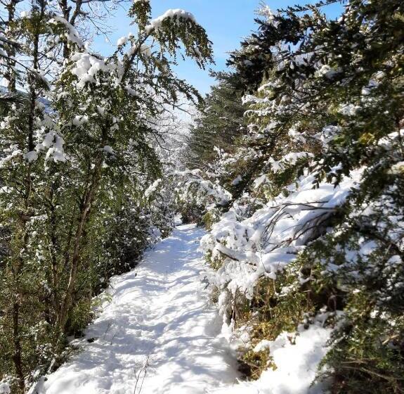 مبيت وإفطار Le Sareymond