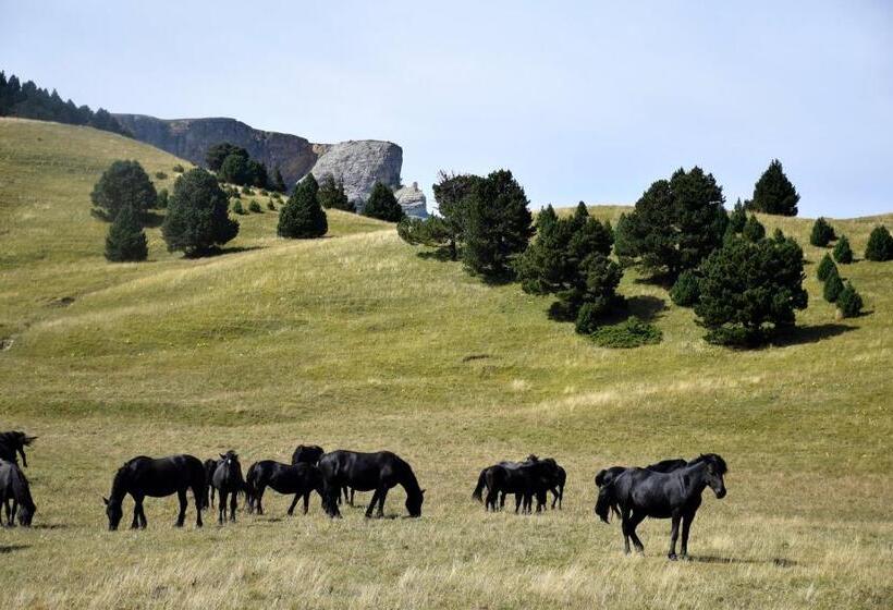 مبيت وإفطار Le Sareymond