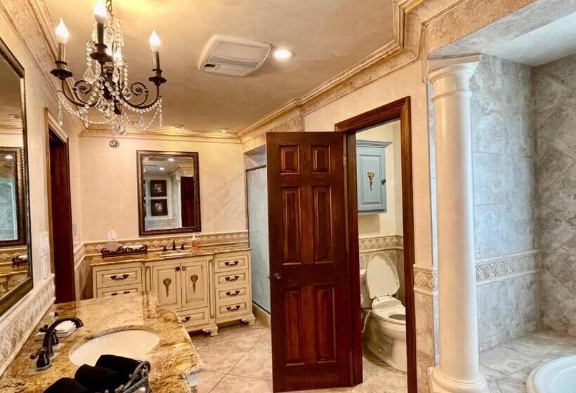 住宿加早餐  Louisiana Cajun Mansion