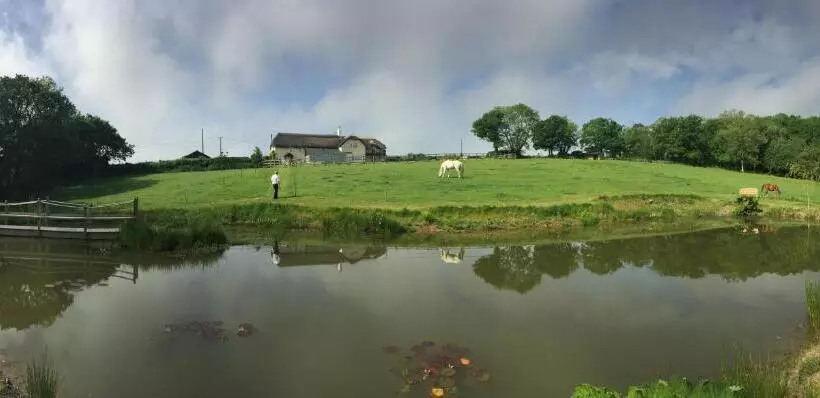 Fernside Bed And Breakfast